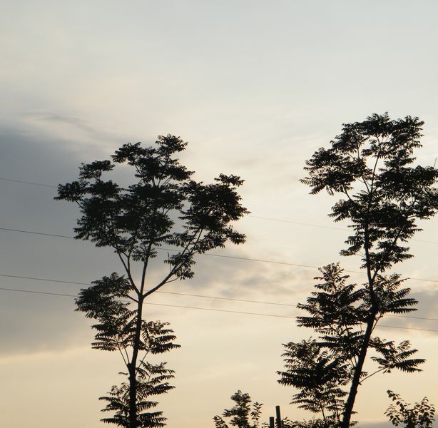DSCF4375.jpg