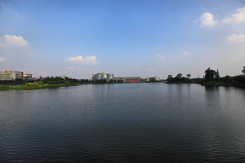 IMG_2668.jpg