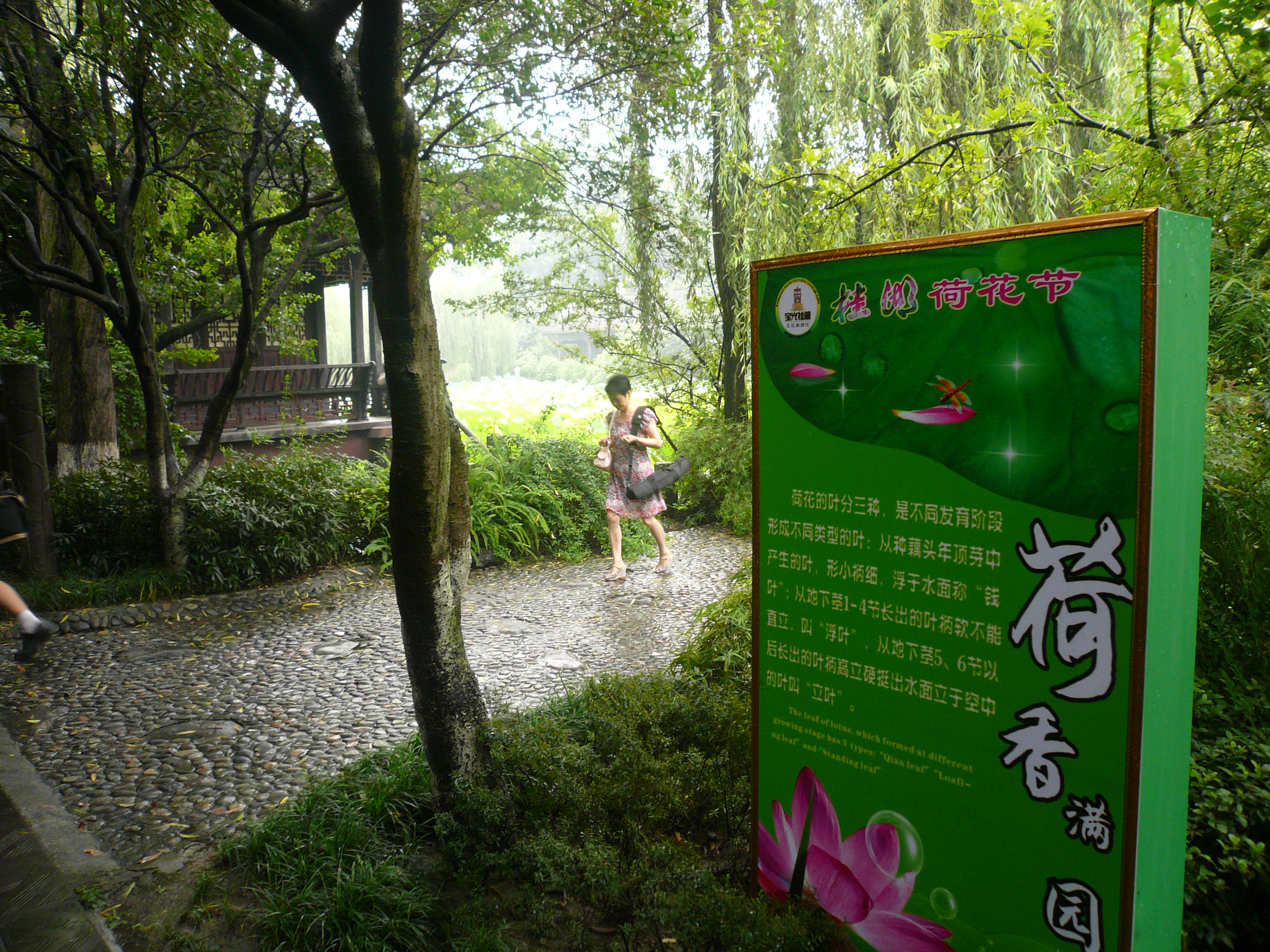 P1110367.JPG