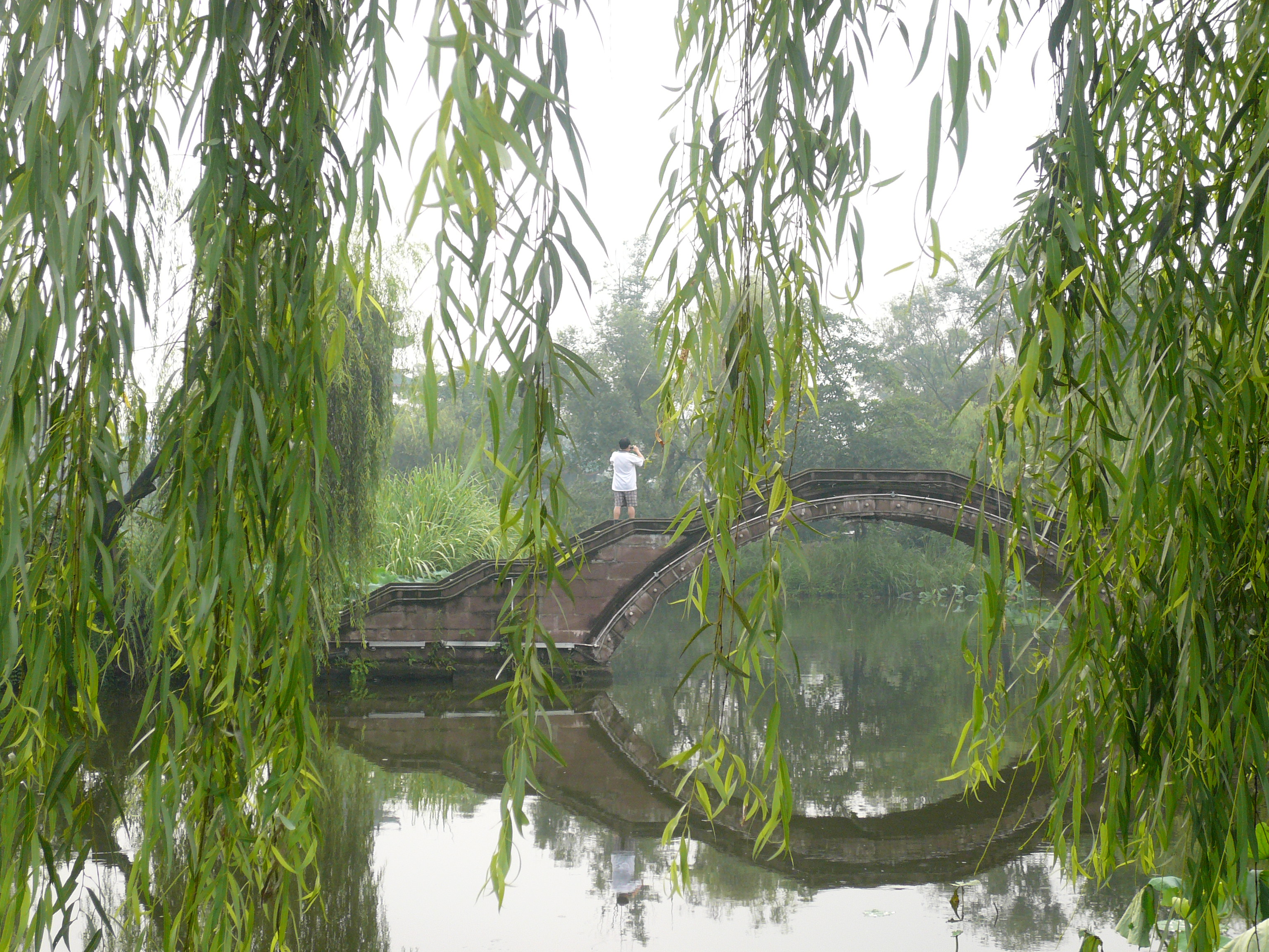 P1110381.JPG