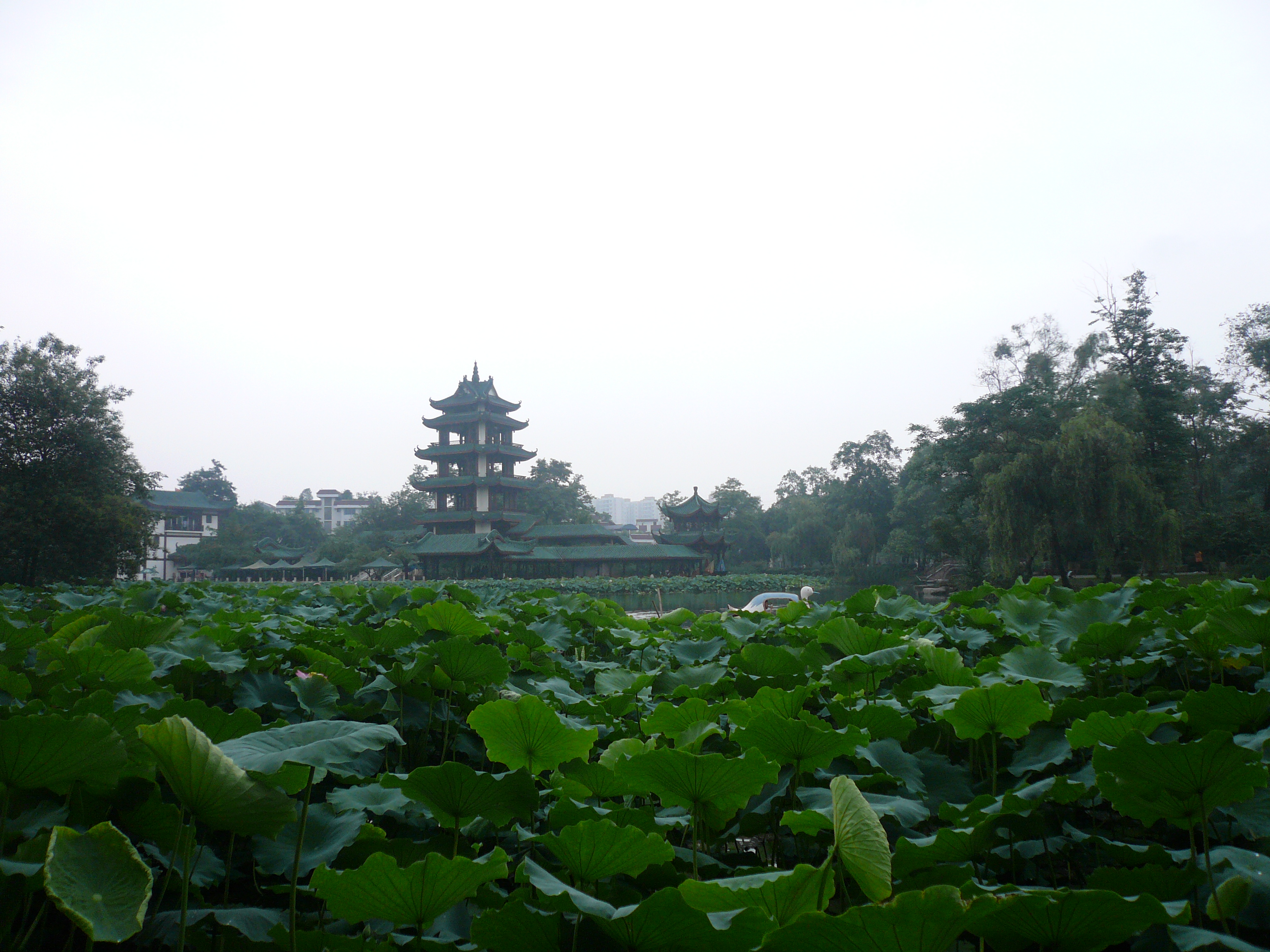 P1110407.JPG