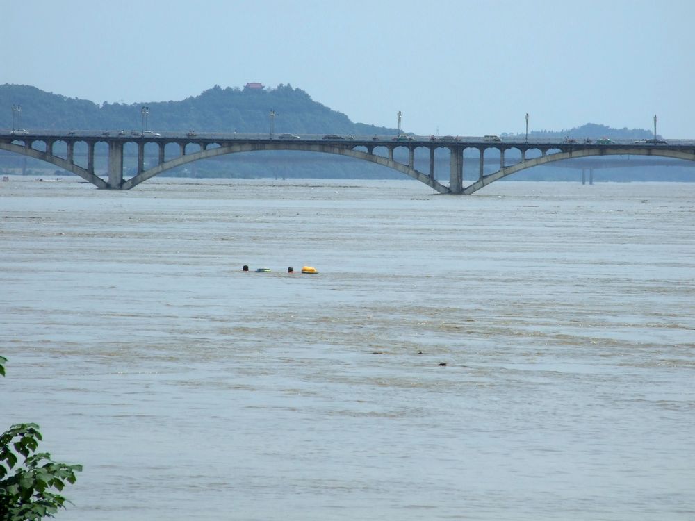 DSCF6154.jpg