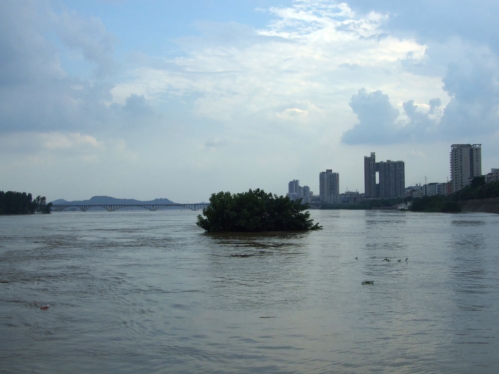 DSCF6177.jpg