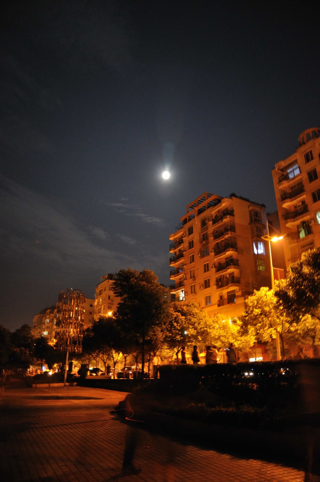 conew_dsc_0384.jpg