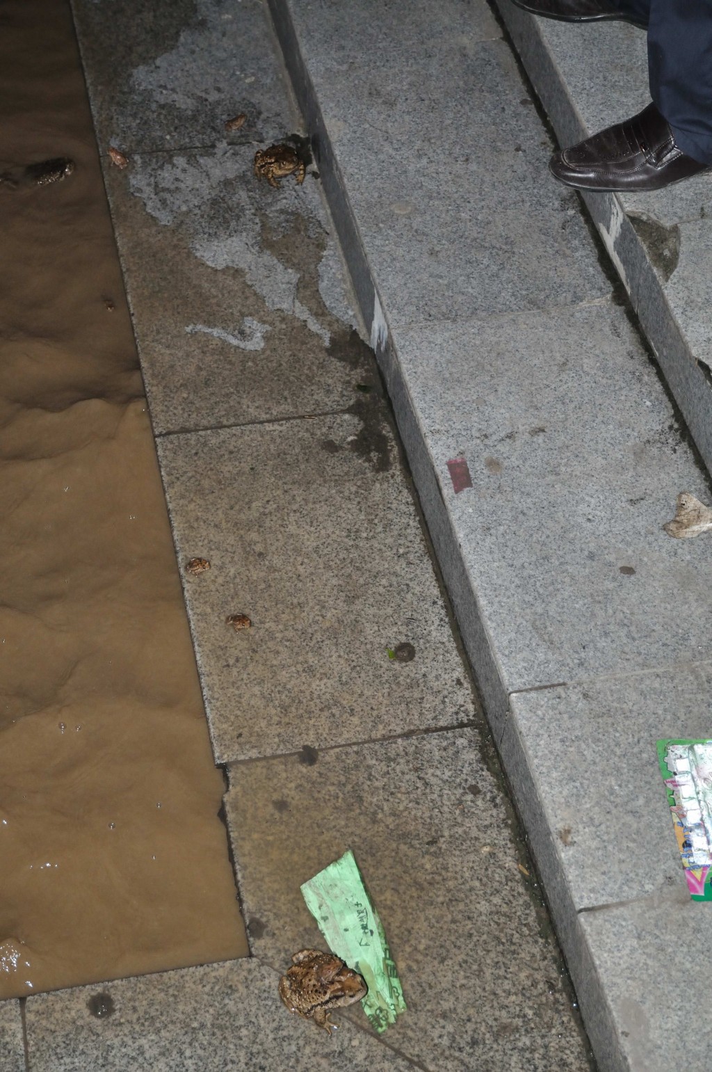 conew_dsc_0408.jpg