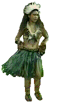 gif061.gif