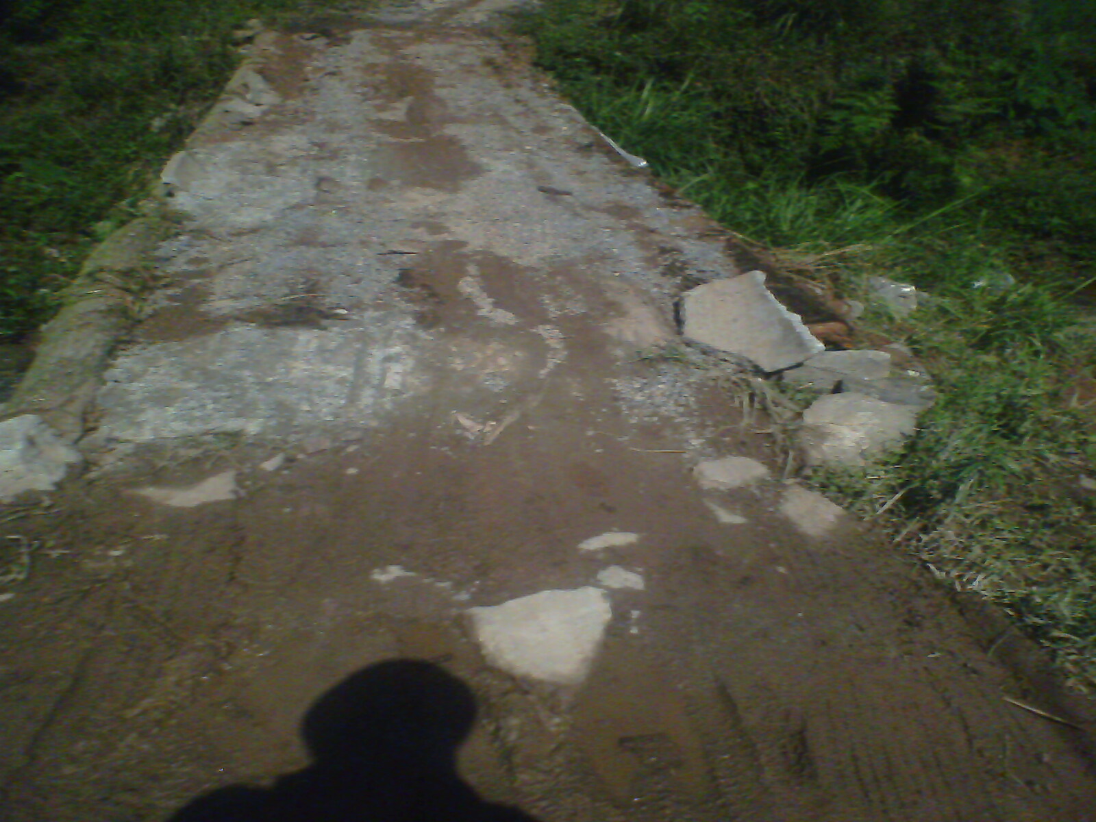 IMG0173A.jpg