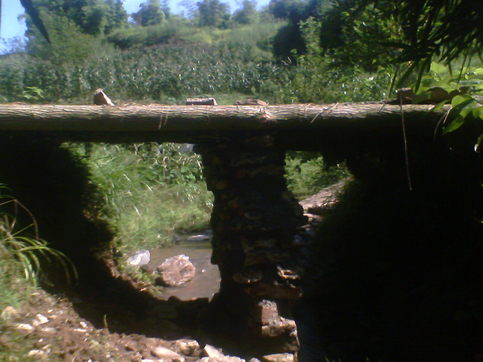 IMG0171A.jpg
