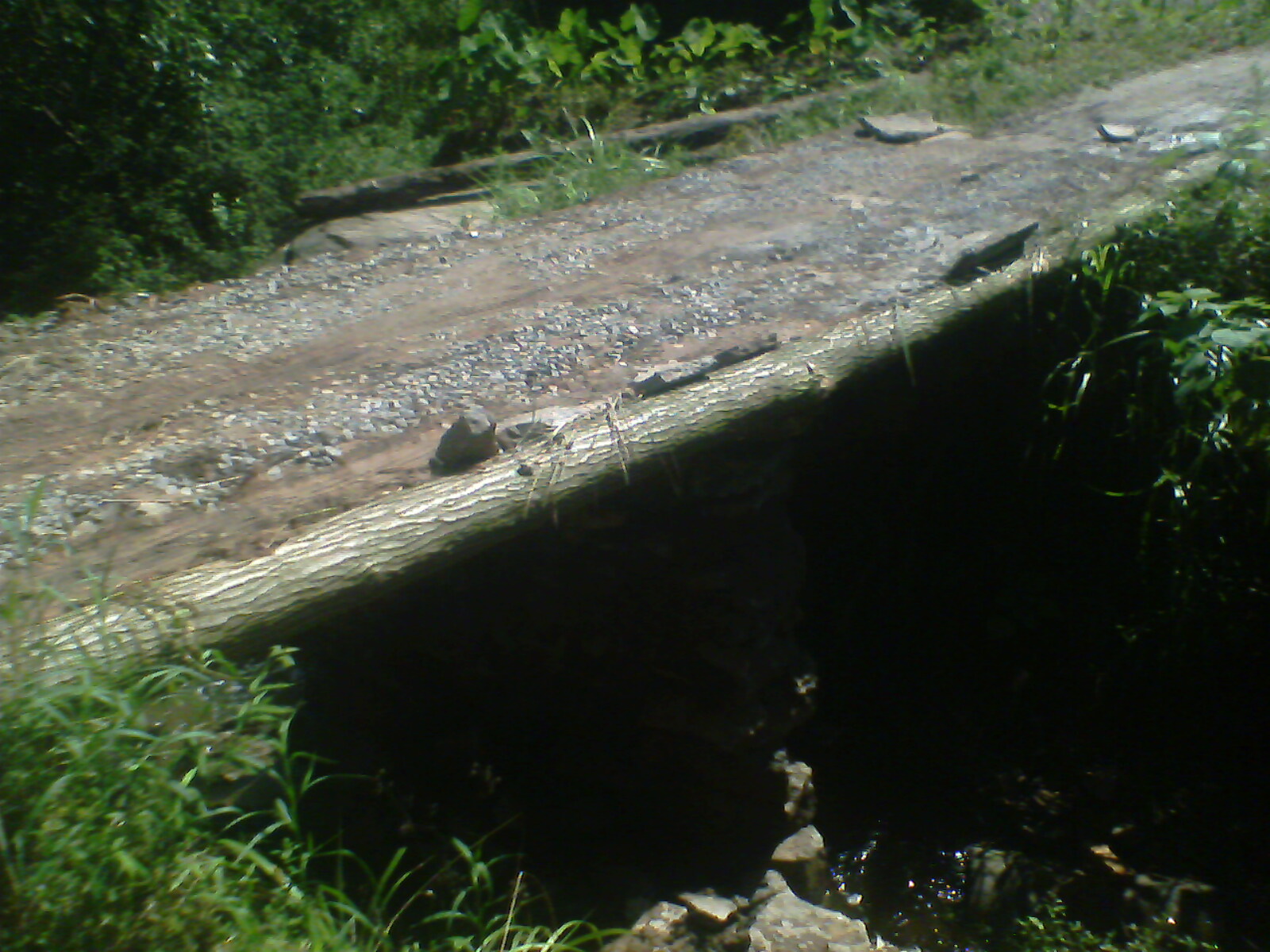 IMG0170A.jpg