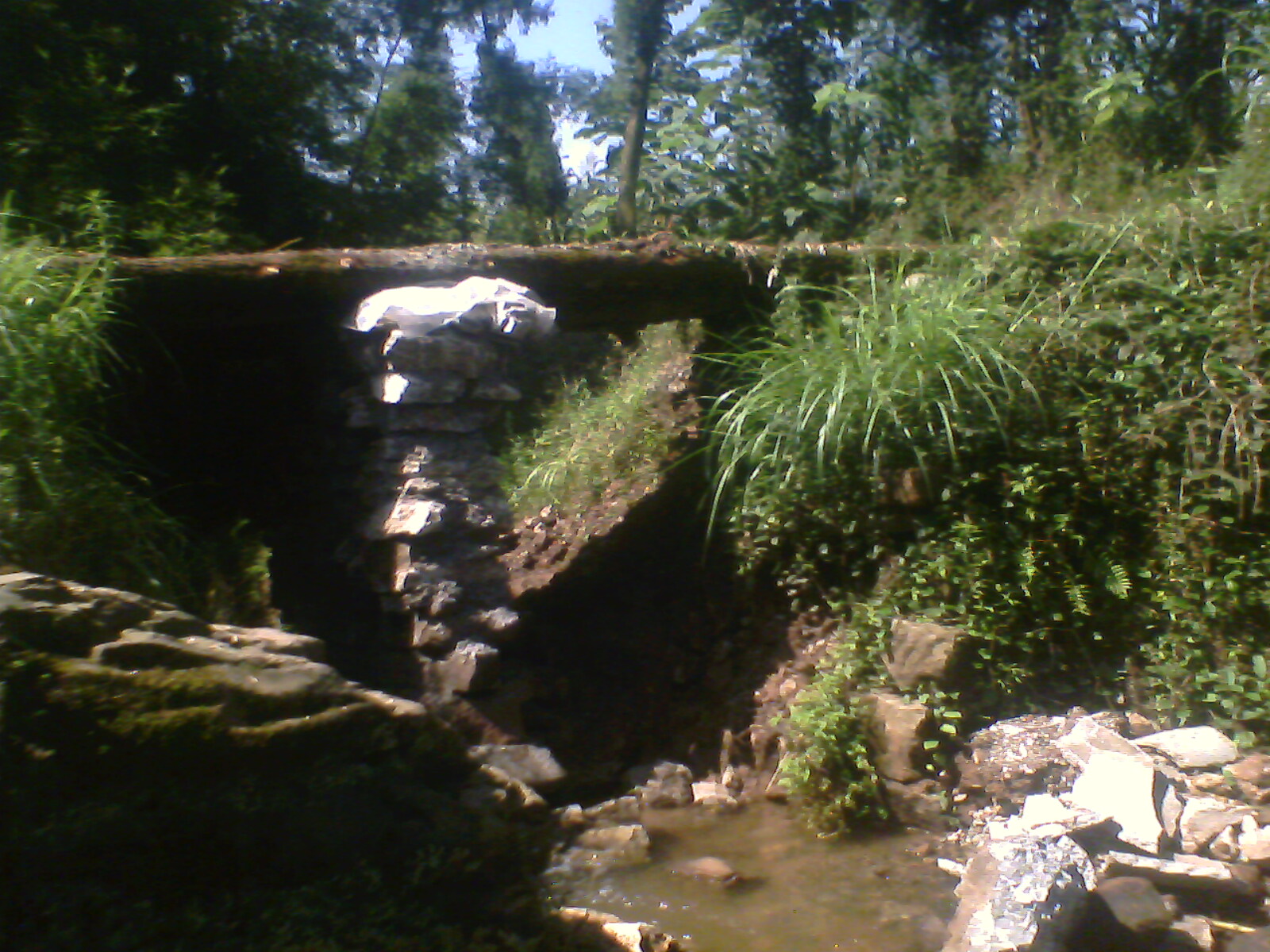 IMG0176A.jpg