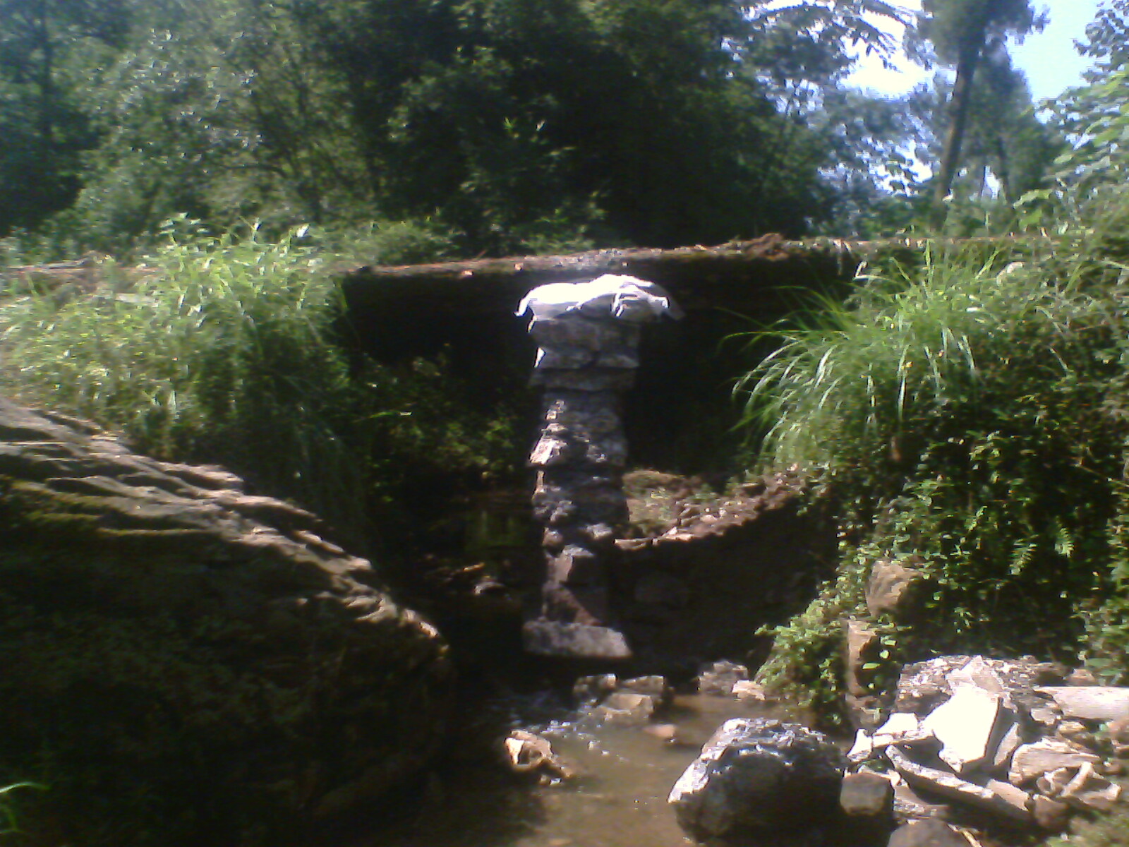 IMG0175A.jpg