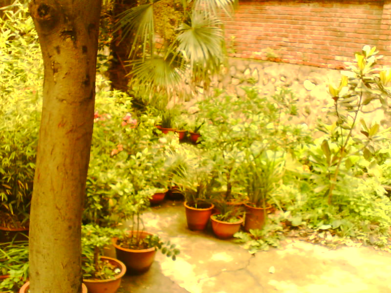 IMG0248A.jpg