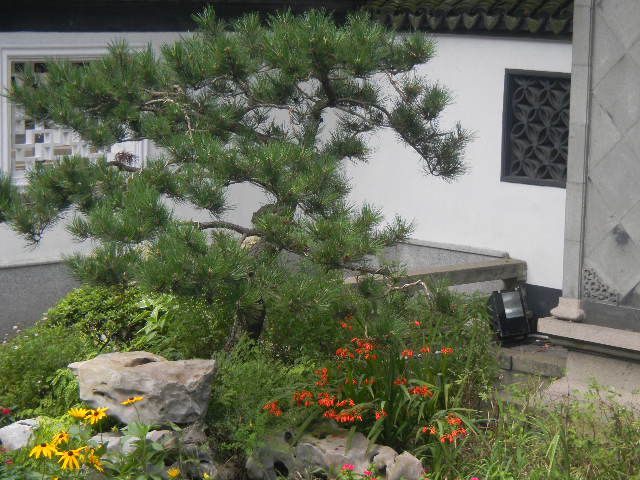 Ƭ 186.jpg