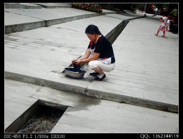 DSC01631.jpg