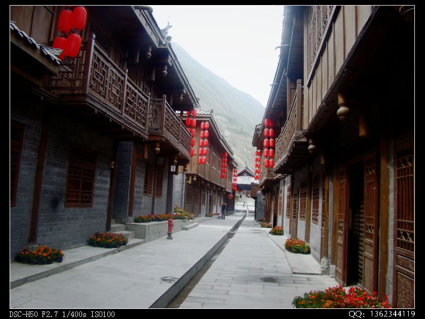 DSC01604.jpg