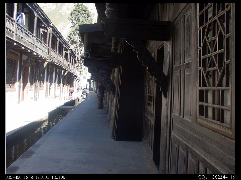 DSC01745.jpg