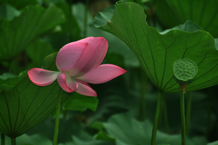 DSC_0427.jpg
