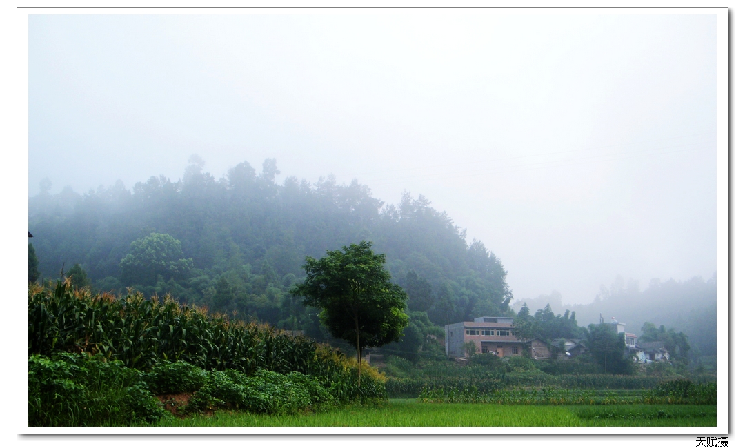 空山新雨后,天气晚来秋!巴山秀美的田园风光。