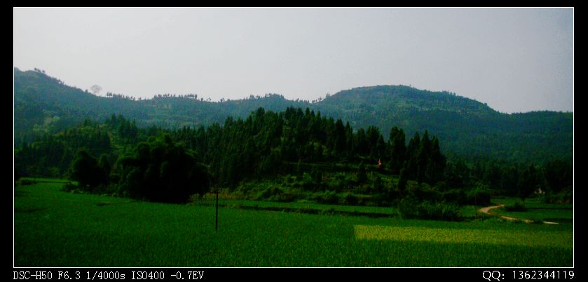 DSC00143.jpg