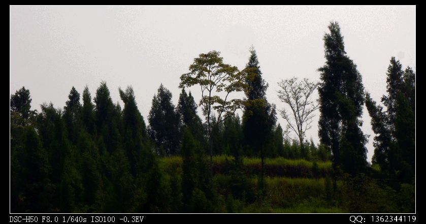 DSC00149.jpg