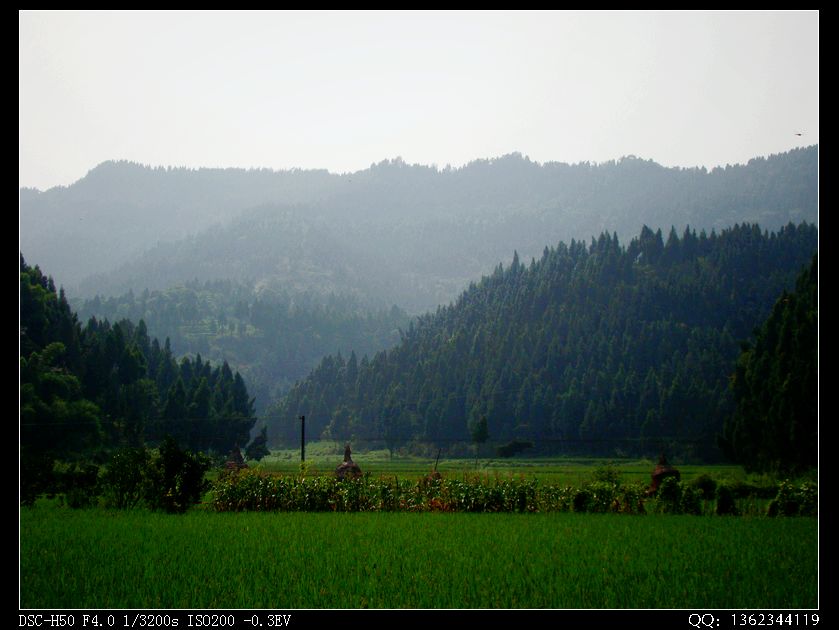 DSC00147.jpg