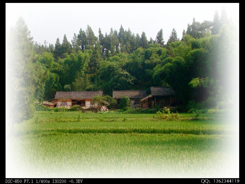 DSC00145.jpg