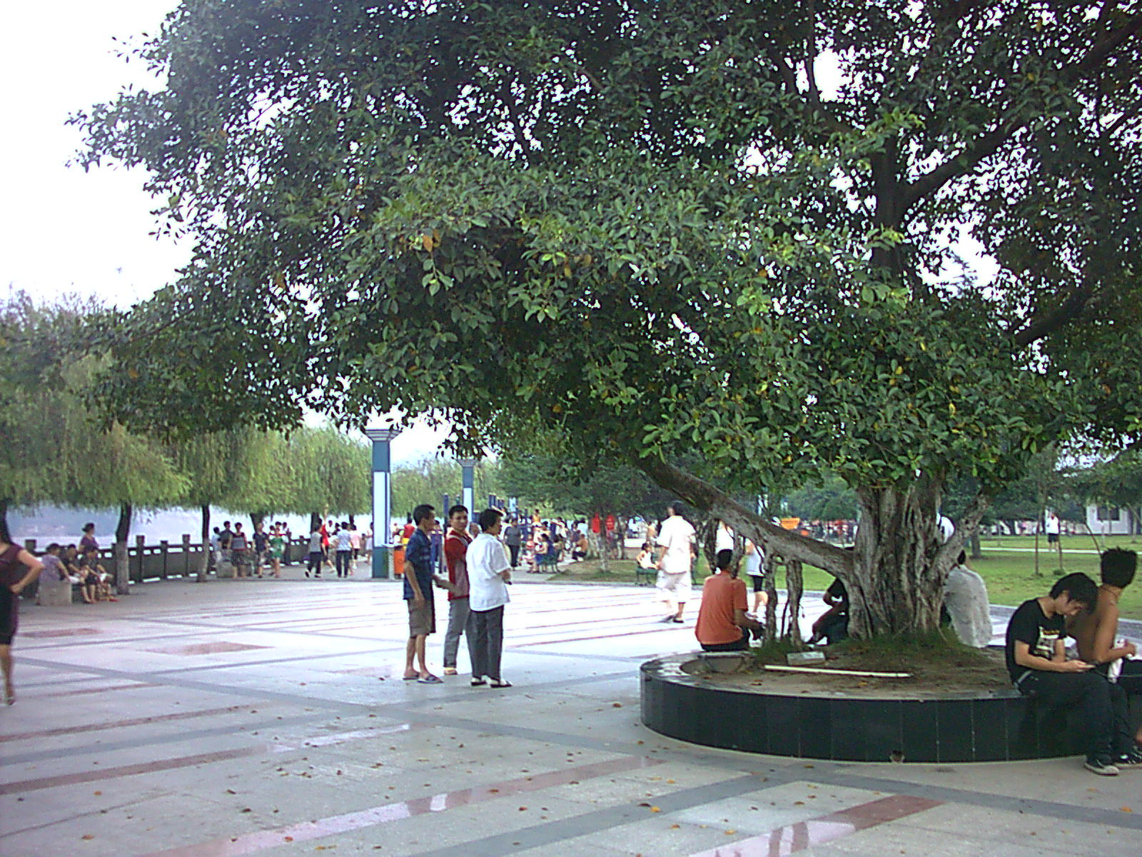 IMAG0006.JPG