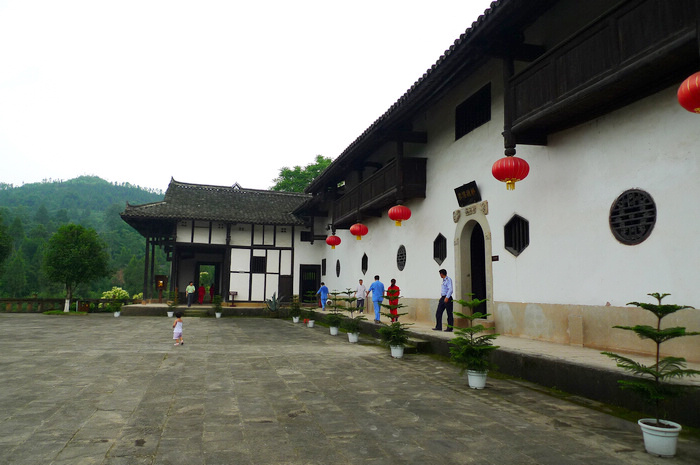 P1050429.jpg