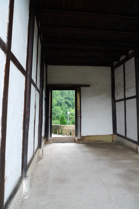 P1050430.jpg