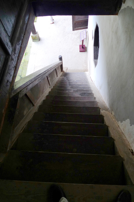 P1050456.jpg