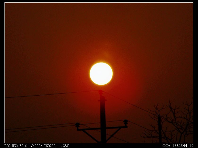 DSC00175.jpg
