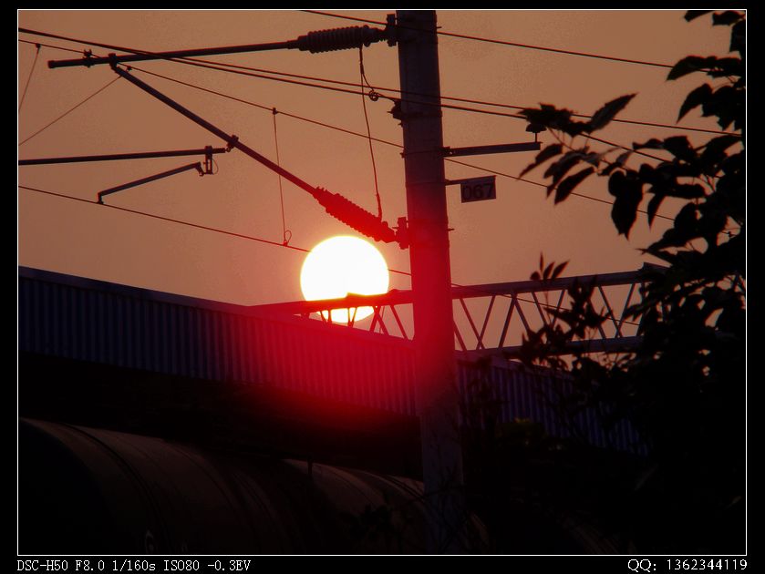 DSC00170.jpg