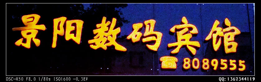 DSC00233.jpg