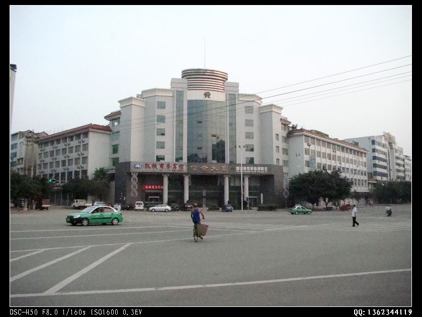 DSC00236.jpg