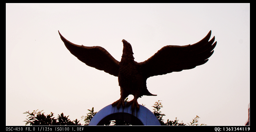 DSC00249.jpg