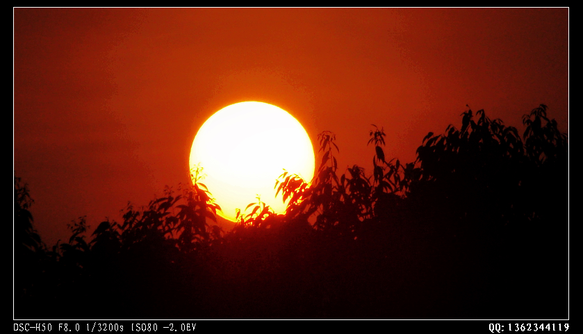 DSC00255.jpg