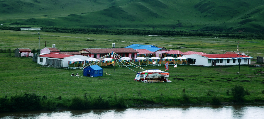 113.JPG