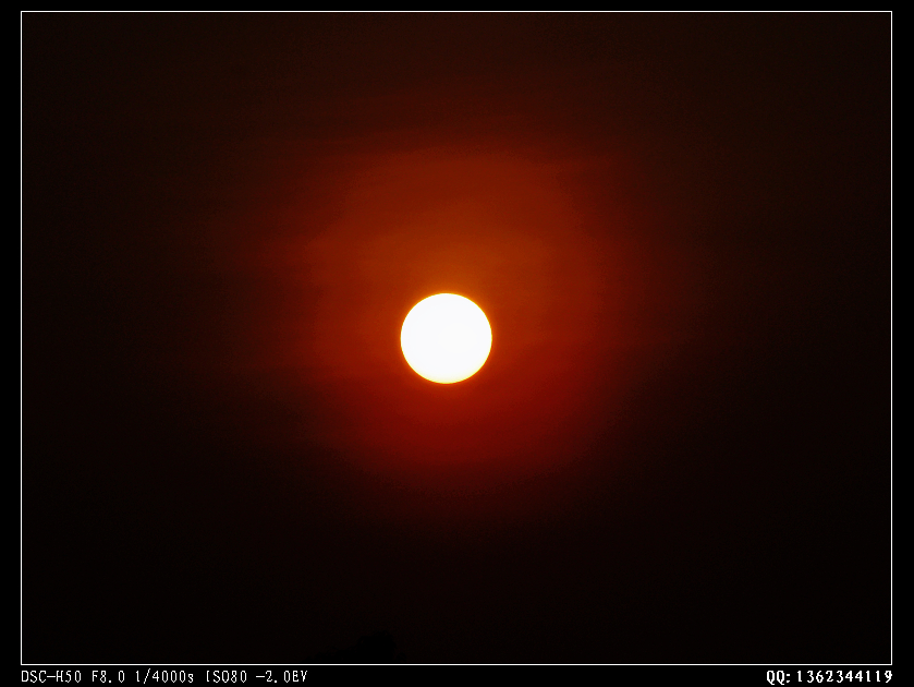 DSC00258.jpg
