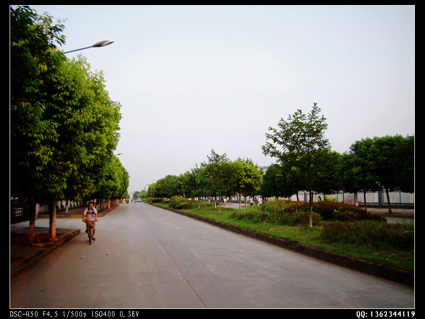 DSC00273.jpg