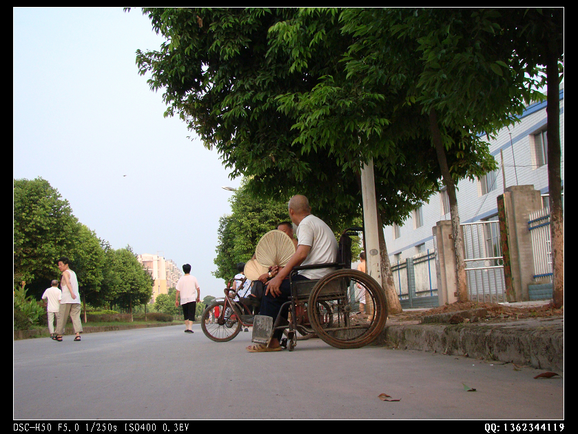 DSC00277.jpg