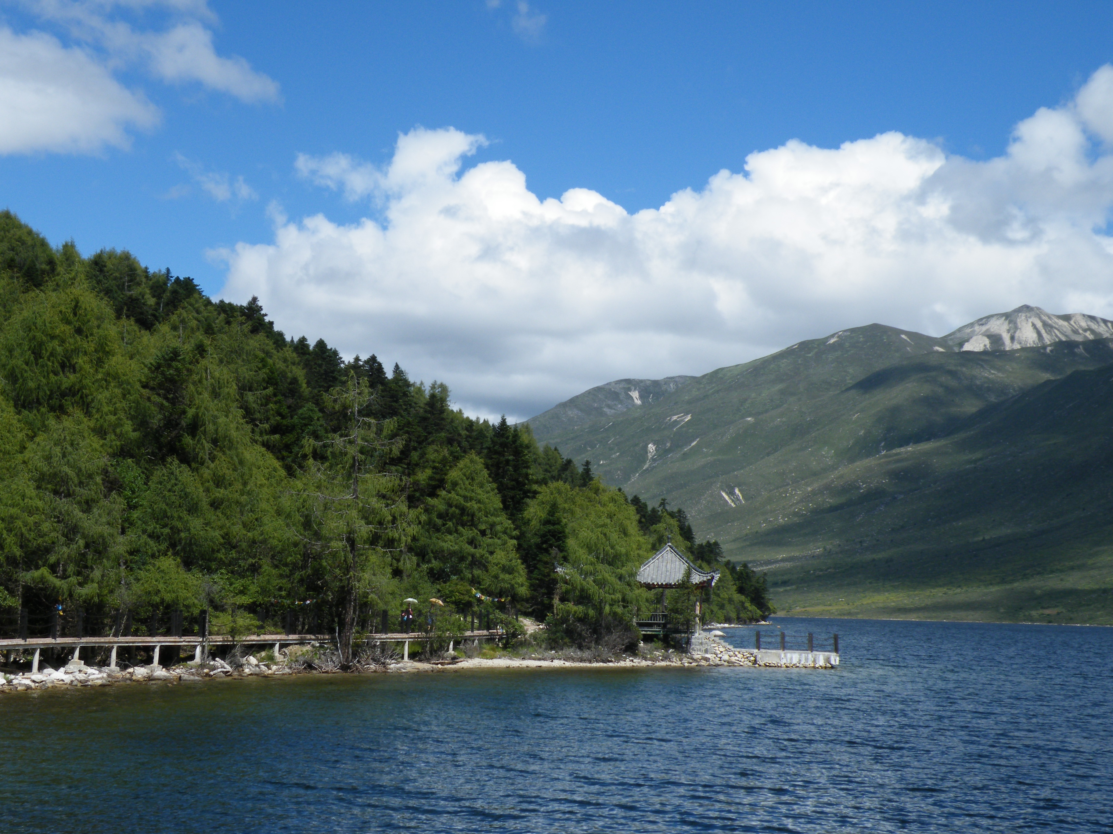 DSCF2774.JPG