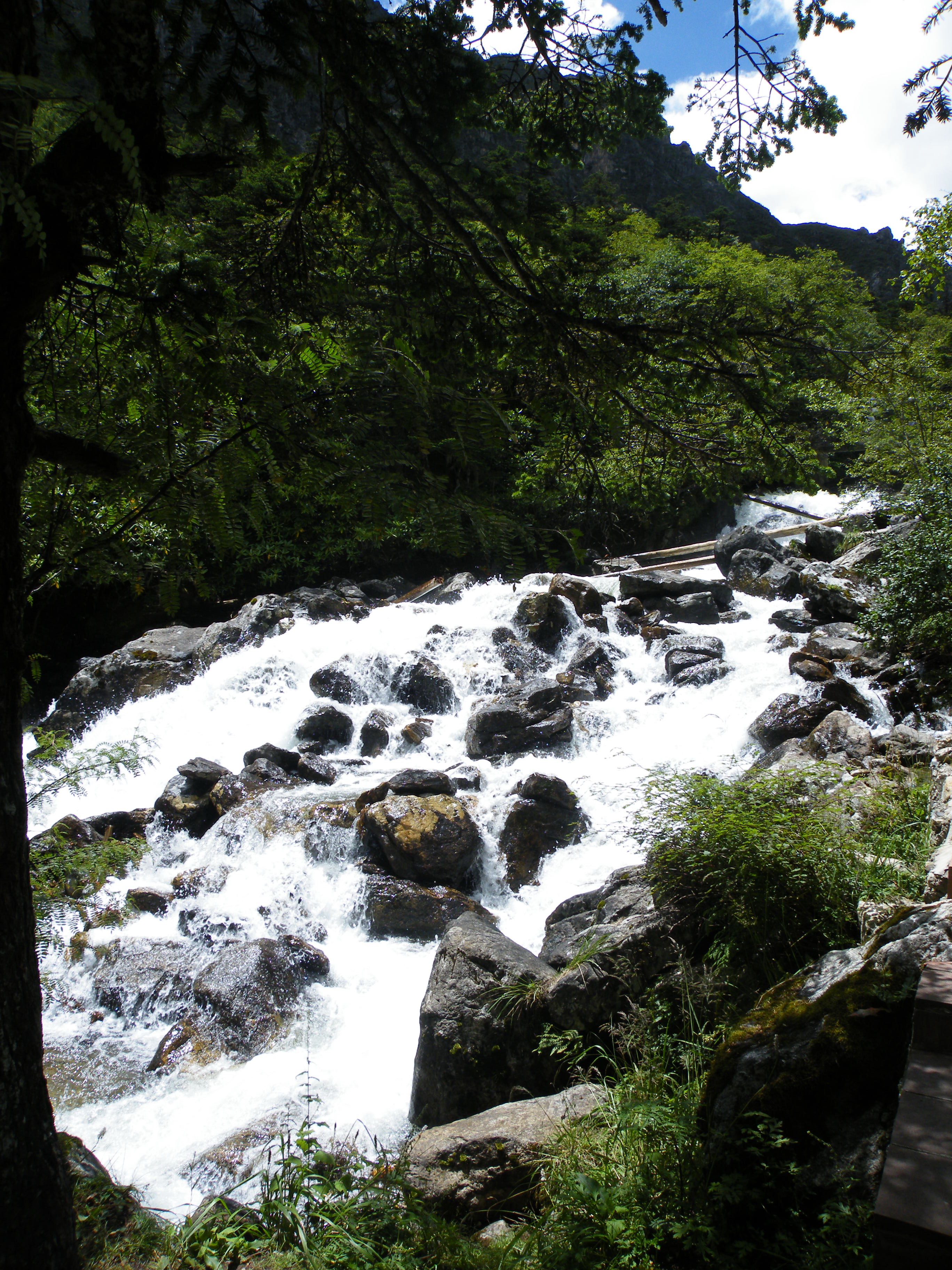 DSCF2810.JPG