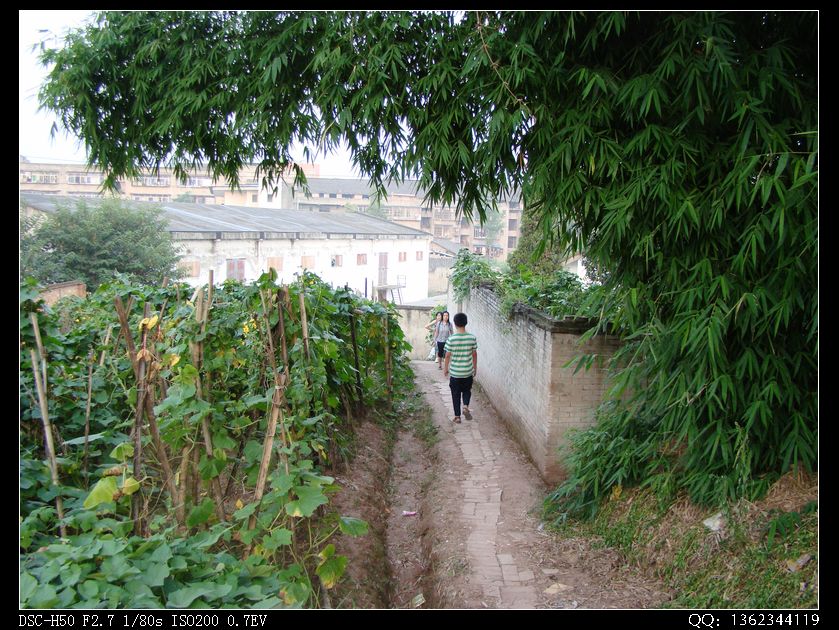 DSC00298.jpg