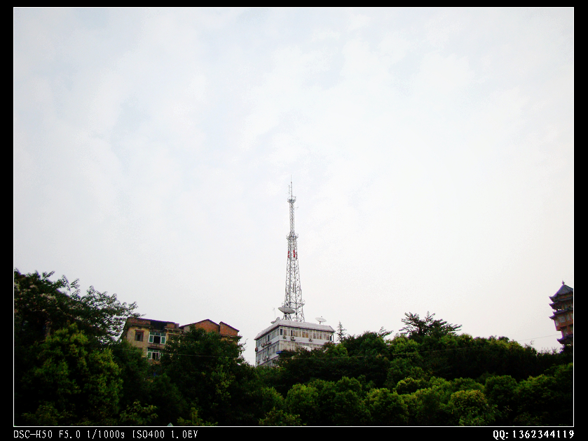 DSC00327.jpg