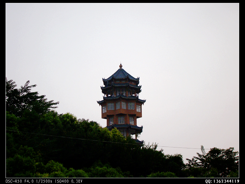 DSC00325.jpg