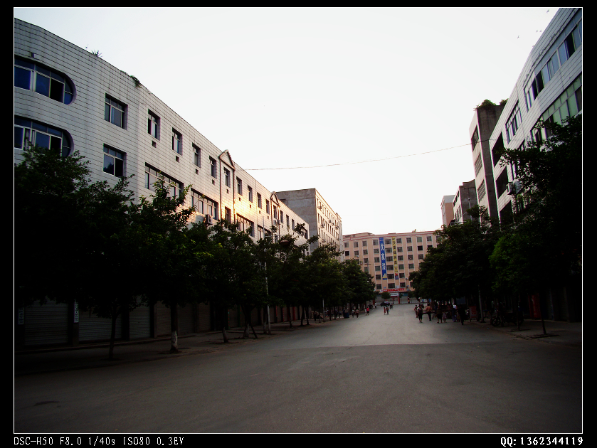 DSC00324.jpg