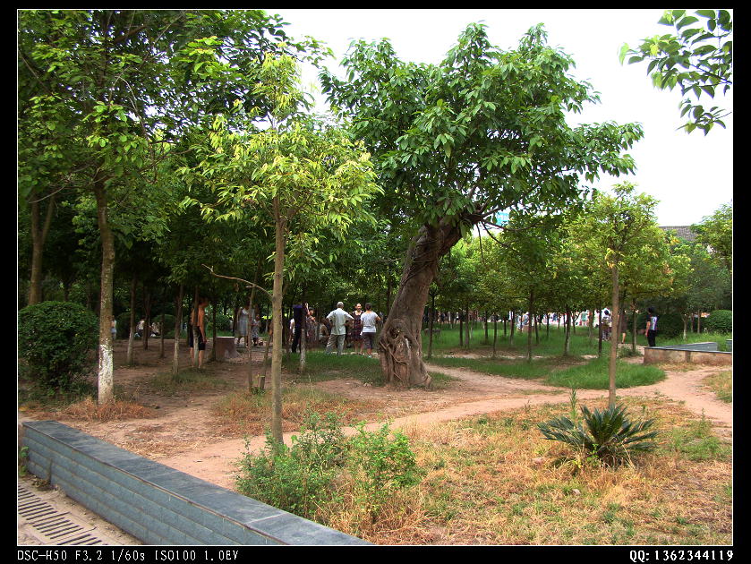 DSC00330.jpg