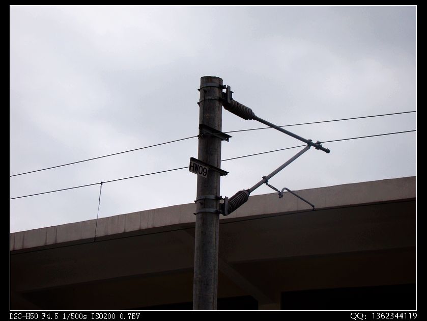 DSC00336.jpg