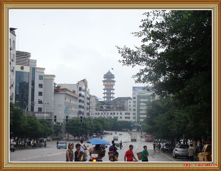 DSC00338.jpg