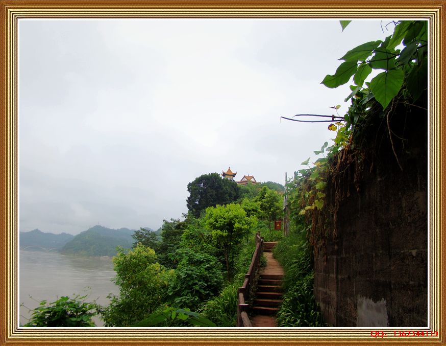 DSC00380.jpg